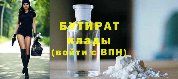 индика Белая Холуница