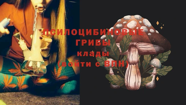 прущие крисы Нея