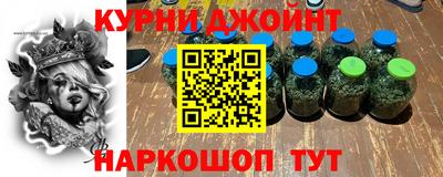 дмт Аргун