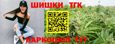 дмт Аргун