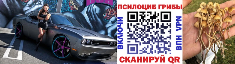 Галлюциногенные грибы Psilocybe  цена   Кимры 